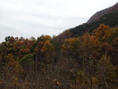 -京东石林峡风景区