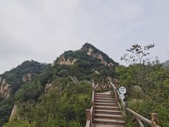 -大岭沟猕猴桃谷风景区