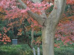-西湖风景区-江洋畈生态公园