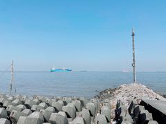 -上海滨江森林公园