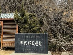 -大槐树寻根祭祖园