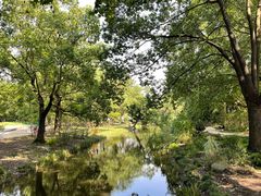 -上海共青森林公园