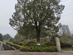-重庆彩云湖湿地公园