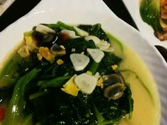 -云中小雅