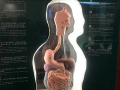 -香港科学馆