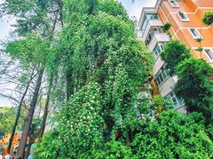 -四川大学(望江校区)