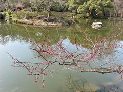 -杭州植物园