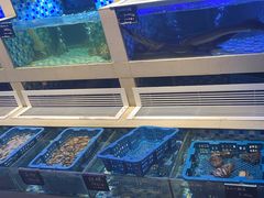 -上屿水产(鼓浪屿一店)