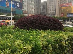-岳阳站