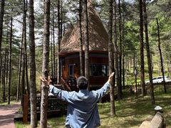 -洛阳白云山景区