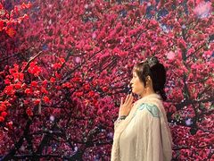 -武汉杜莎夫人蜡像馆