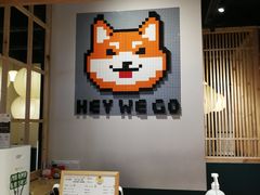 -柴迷FANS CLUB·柴犬狗咖·猫咖
