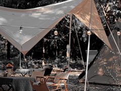 -南宁良凤江国家森林公园