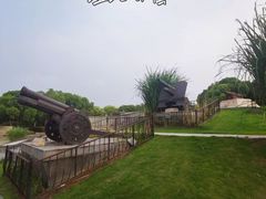 -上海吴淞炮台湾国家湿地公园