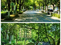 -汤山公园