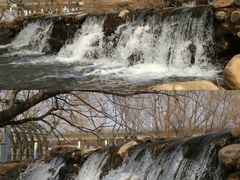 -长白岛森林公园