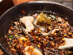 -印象鲵宴·张家界地标美食名片(溪布街店)