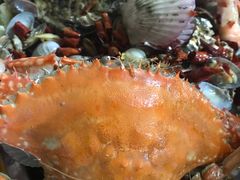 -晓伟海鲜家常菜