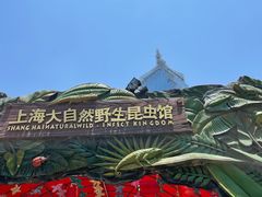 -上海大自然野生昆虫馆(东方明珠·爬宠昆虫探索中心)