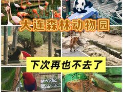 -大连森林动物园
