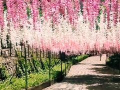 -北京十三陵国家森林公园蟒山景区