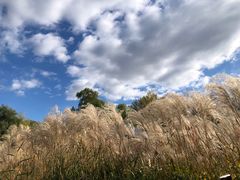 -野鸭湖国家湿地公园