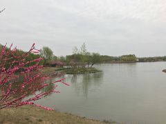 -东郊湿地公园