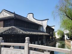 -真真老老(月河花鸟市场店)