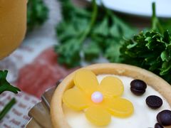 -春晖园度假酒店温泉