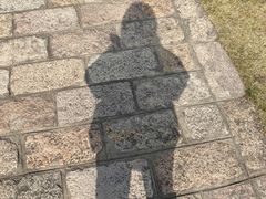 -金山农民画村-枫泾波兰倒置屋