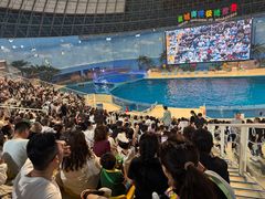 -泉城欧乐堡海洋极地世界