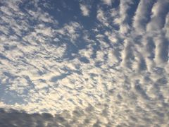-龙头岩(Dragon Head Rock)