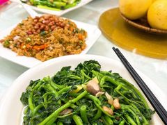 -津津菜馆(绝没分店)