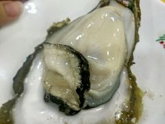 -蚝专家(北滘店)