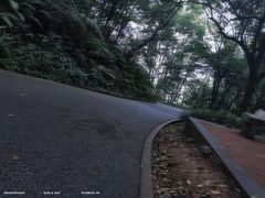 -广州市帽峰山景区