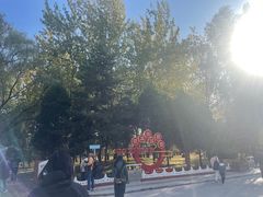 -森林公园(尖草坪区)