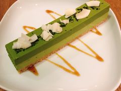 抹茶慕斯-柴务处·柴犬主题狗咖