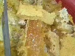-海泉湾竹筒饭·瘦身水库大头鱼(从化温泉镇店)