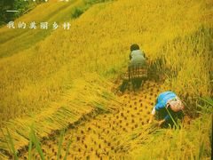 -湘邻呷铺·田园家宴(汉基广场店)