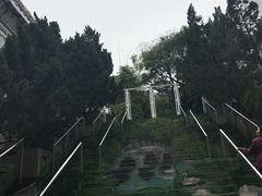 -九龙公园