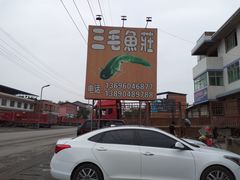 -三毛鱼庄(威连路店)