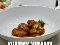 -丁老爷子苏香圆