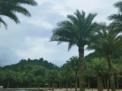 -腾冲洞山温泉村