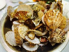 -宾朋海鲜饭庄(兴海路店)