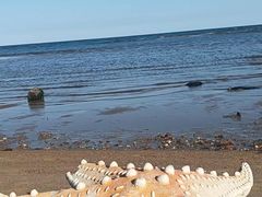 -东戴河风景区-止锚湾