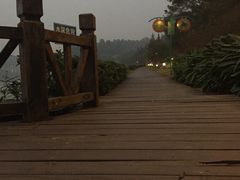 -南国桃园旅游度假区