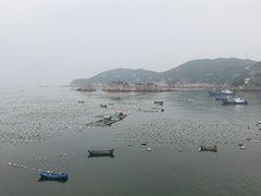 -枸杞岛