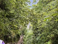 -鹿院坪生态旅游景区