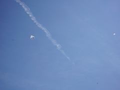 -杭州城北体育公园