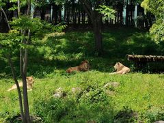-宁波野生动物园